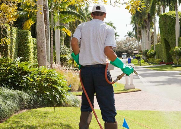 About Martell NE Pest Control